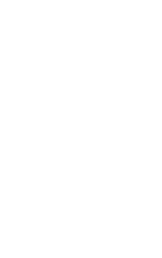 長崎県産 焼きあご